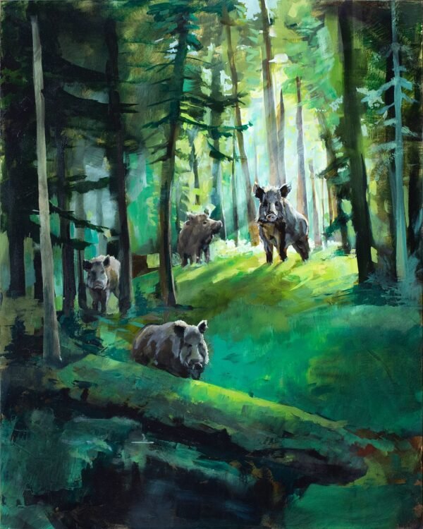 Pigs of the Sounder Limited Edition
